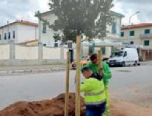 Il Tirreno-Messa a dimora di 125 nuovi alberi in 10 zone